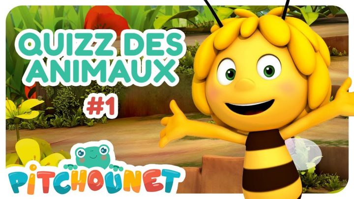 Quizz Des Animaux #1 | Dessin Animé Pour Enfant | Pitchounet pour Rebus Enfant