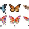 Réaliser Un Dessin De Papillon - Dessindigo tout Papillon À Dessiner