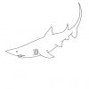 Requin #102 (Animaux) – Coloriages À Imprimer intérieur Coloriage Requin À Imprimer