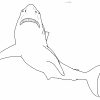 Requin #11 (Animaux) – Coloriages À Imprimer à Coloriage Requin Blanc Imprimer