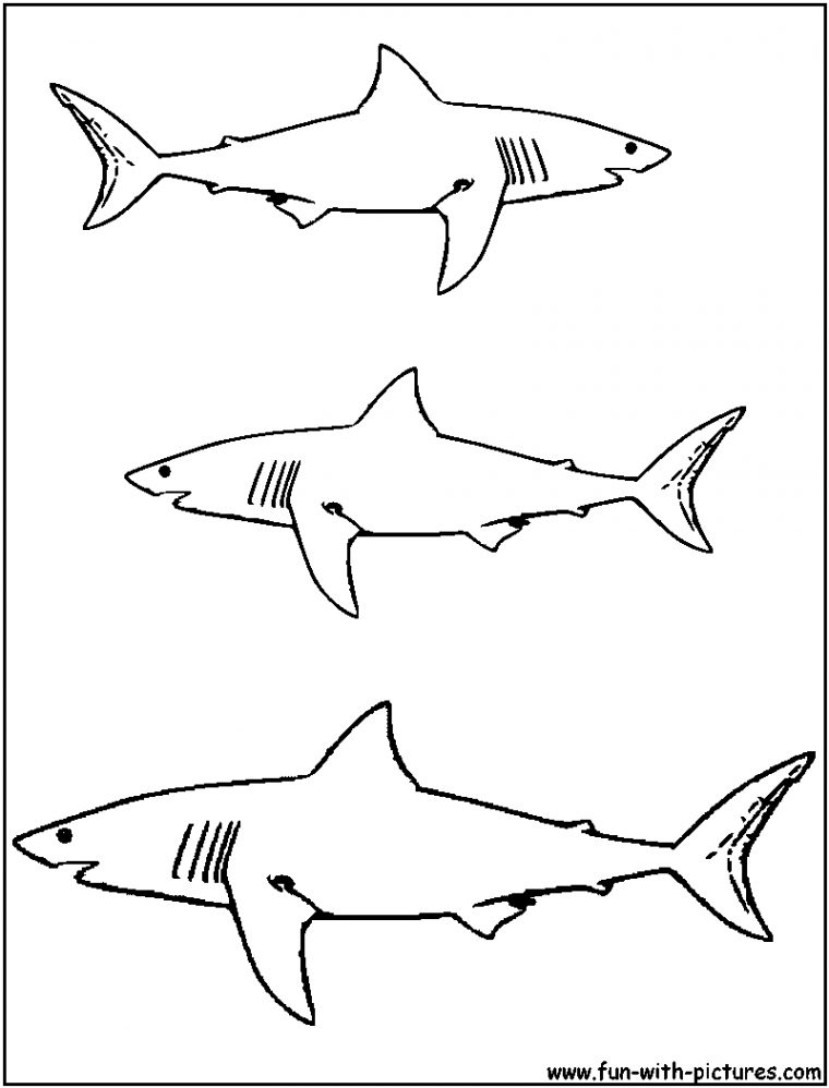 Requin #14 (Animaux) – Coloriages À Imprimer destiné Dessin De Requin À Imprimer