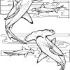 Requin #36 (Animaux) – Coloriages À Imprimer avec Coloriage Requin Blanc Imprimer