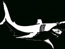Requin #55 (Animaux) – Coloriages À Imprimer serapportantà Dessin De Requin À Imprimer