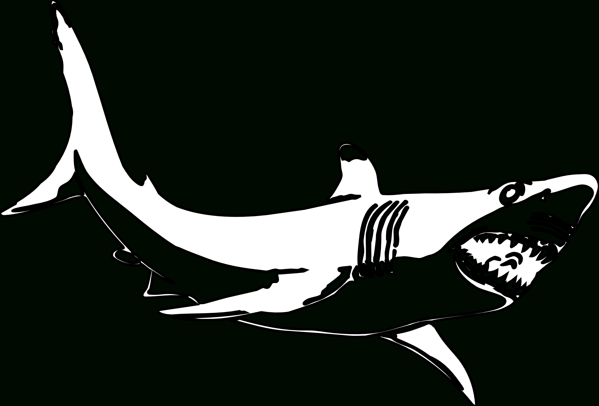 Requin #55 (Animaux) – Coloriages À Imprimer serapportantà Dessin De Requin À Imprimer
