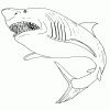 Requin #58 (Animaux) – Coloriages À Imprimer encequiconcerne Coloriage Requin À Imprimer