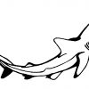 Requin #63 (Animaux) – Coloriages À Imprimer concernant Coloriage Requin Blanc Imprimer