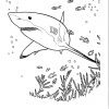 Requin #68 (Animaux) – Coloriages À Imprimer à Coloriage Requin Blanc Imprimer