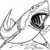 Requin #96 (Animaux) – Coloriages À Imprimer avec Coloriage Requin Blanc Imprimer