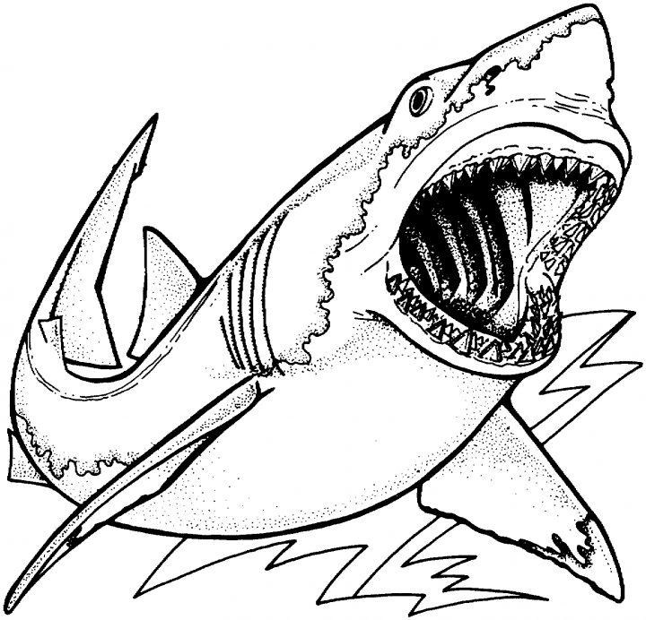 Requin #96 (Animaux) – Coloriages À Imprimer avec Coloriage Requin Blanc Imprimer