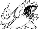 Requin #96 (Animaux) – Coloriages À Imprimer dedans Dessin De Requin À Imprimer