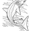 Requin - Coloriages À Imprimer Gratuits : Personnages encequiconcerne Coloriage Requin Blanc Imprimer