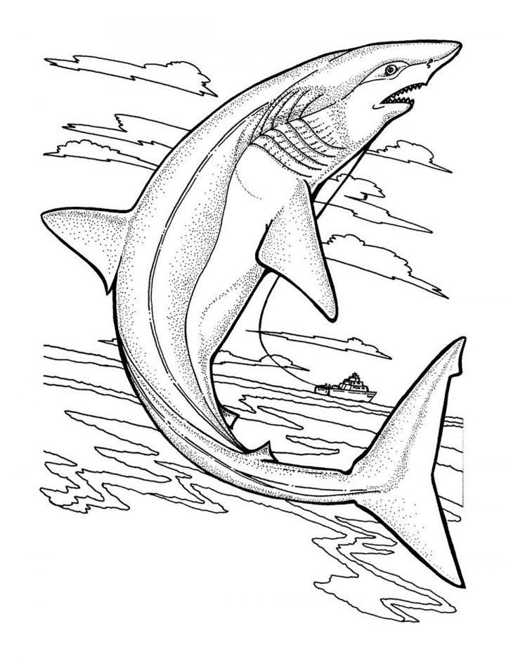 Requin – Coloriages À Imprimer Gratuits : Personnages encequiconcerne Coloriage Requin Blanc Imprimer