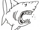 Requin Endormie - Coloriage De Requins - Coloriages Pour Enfants dedans Dessin De Requin À Imprimer