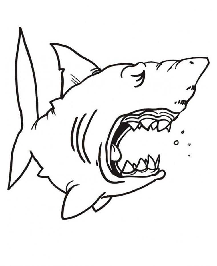 Requin Endormie – Coloriage De Requins – Coloriages Pour Enfants dedans Dessin De Requin À Imprimer