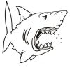 Requin Endormie - Coloriage De Requins - Coloriages Pour Enfants encequiconcerne Coloriage Requin À Imprimer