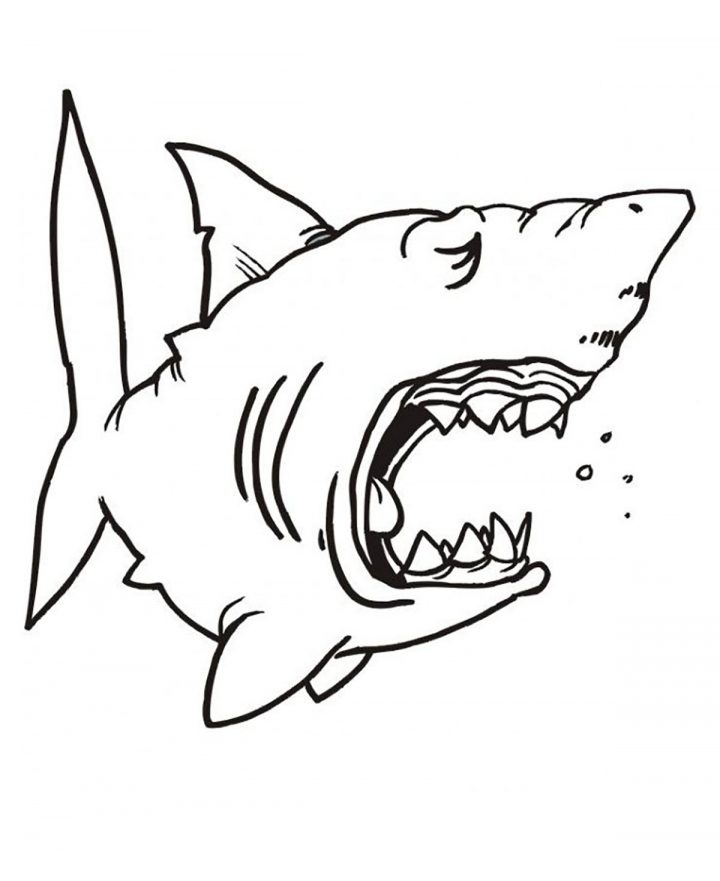 Requin Endormie – Coloriage De Requins – Coloriages Pour Enfants encequiconcerne Coloriage Requin À Imprimer