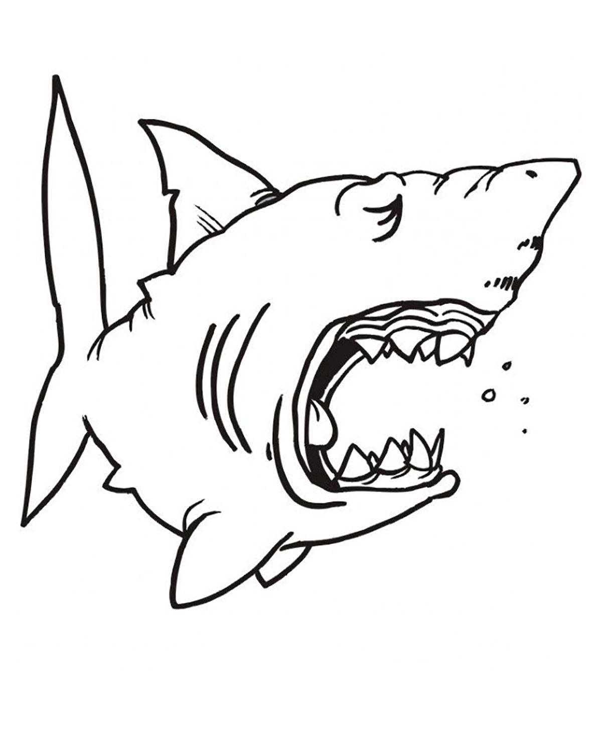 Requin Endormie - Coloriage De Requins - Coloriages Pour Enfants encequiconcerne Coloriage Requin À Imprimer 