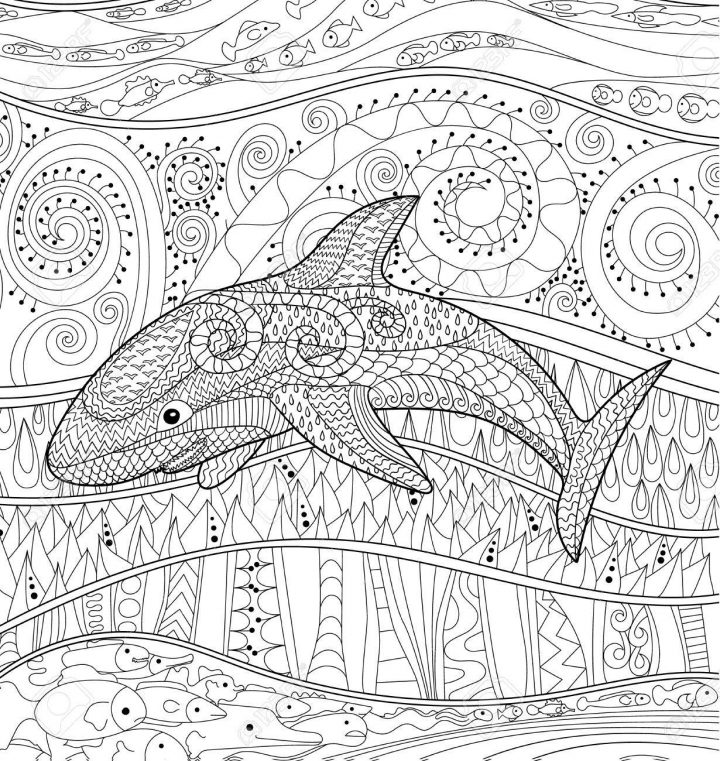 Requin Heureux Avec Des Détails Élevés. Adulte Coloriages Antistress.  Animaux Océanique Blanc Noir Pour L'art-Thérapie. Abstract Pattern Avec Des destiné Coloriage Requin Blanc Imprimer