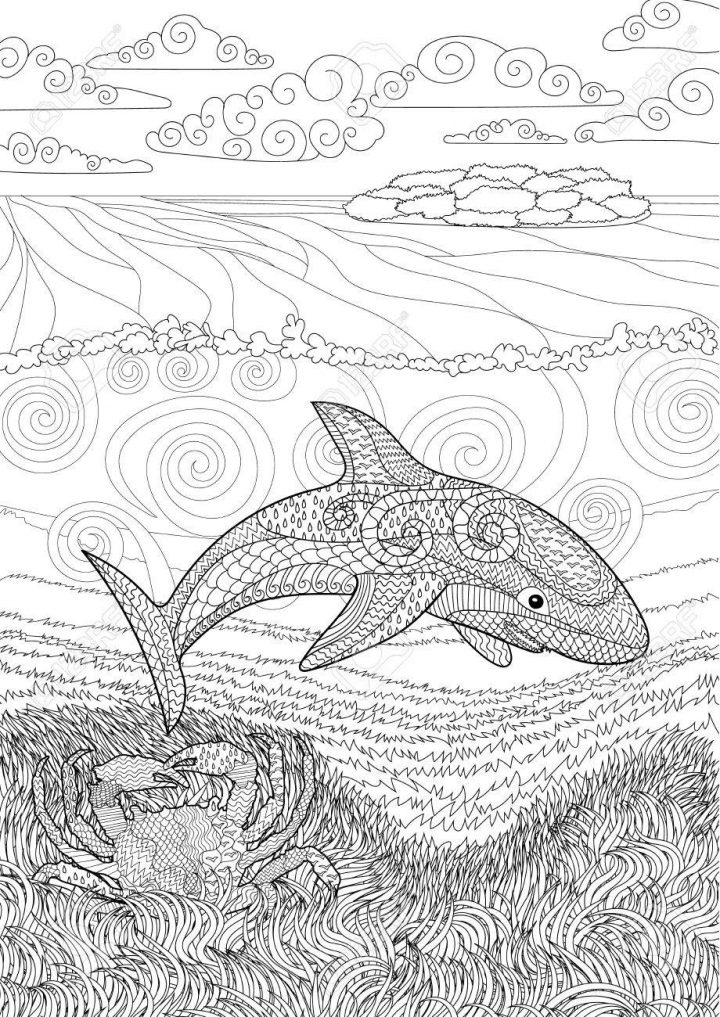 Requin Heureux Avec Des Détails Élevés. Adulte Coloriages Antistress. Main  Blanche Noire Dessinée Doodle Animale Océanique Pour L'art Thérapie. destiné Coloriage Requin Blanc Imprimer