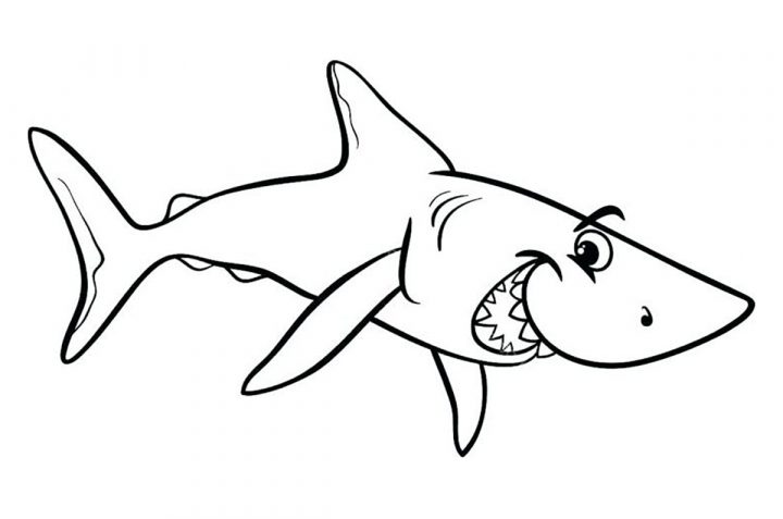 Requin Malicieux – Coloriage De Requins – Coloriages Pour tout Coloriage Requin À Imprimer