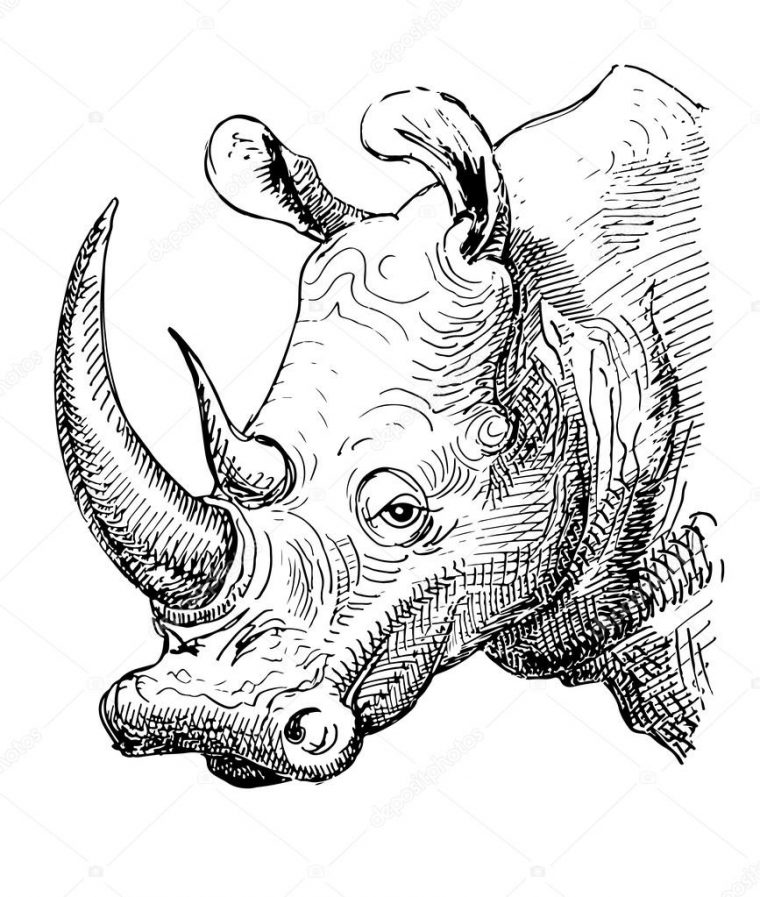 Rhinocéros De L'oeuvre, Croquis Dessin Noir Et Blanc — Image destiné Dessin Noir Et Blanc Animaux