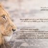 Royaume Du Maroc || Jardin Zoologique De Rabat, La Rencontre concernant Jeux D Animaux De La Ferme