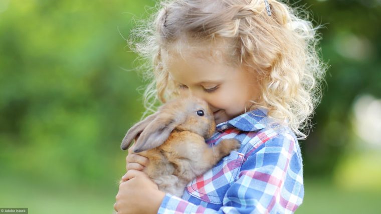 Salon De L'agriculture. Connaissez-Vous Bien Les Animaux De concernant Jeux De Ferme Gratuit Avec Des Animaux