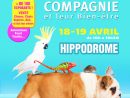 Salon Des Animaux De Compagnie Et Leur Bien-Être À Cagnes serapportantà Jeux De Ferme Gratuit Avec Des Animaux