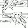Sand Tiger Shark Coloring Pages – Kaigobank concernant Coloriage Requin À Imprimer