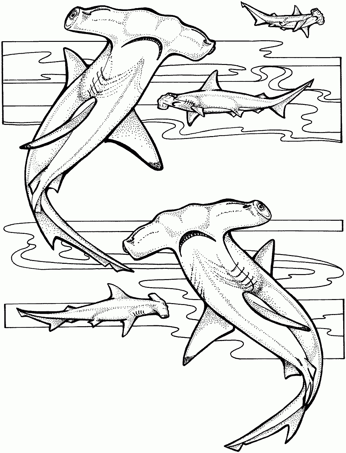 Sand Tiger Shark Coloring Pages – Kaigobank concernant Coloriage Requin À Imprimer 