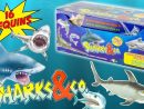 Sharks &amp; Co Complete Collection 16 Sharks Blind Bags Surprise Altaya Toy  Review Juguetes Tiburon destiné Requin Jeux Video