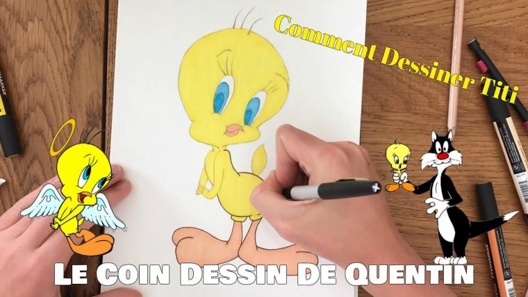 Short Drawing – Comment Dessiner Titi – Le Coin Dessin De Quentin encequiconcerne Dessiner Titi