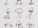 Sketch Of Growing Mushrooms . . #mushroom #growth #nature encequiconcerne Dessiner Un Champignon