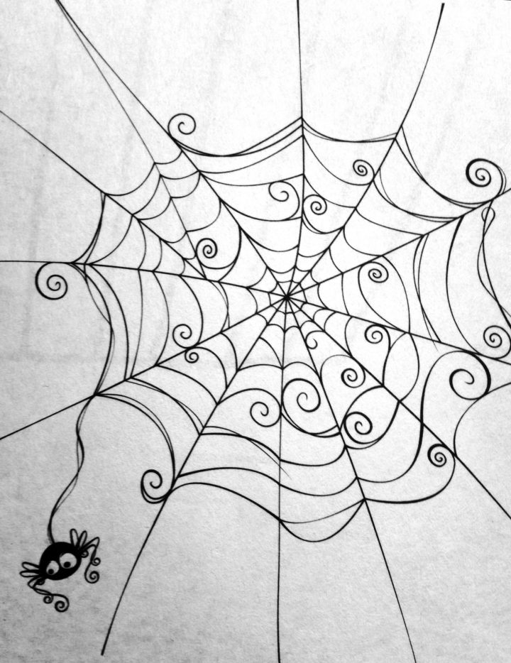 Spider Web. Cute Spider. | Toile D Araignée Dessin, Dessin avec Toile D Araignée Dessin