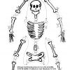 Squelette #30 (Personnages) – Coloriages À Imprimer dedans Decoupage A Imprimer