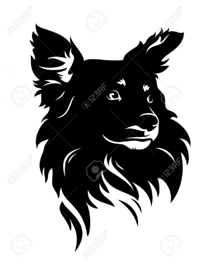 Tête De Chien Mignon – Noir Et Blanc Vecteur Chiot Portrait pour Dessin Noir Et Blanc Animaux