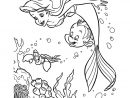 The Little Mermaid #90 (Animation Movies) – Printable intérieur La Petite Sirène À Colorier