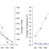 The Seasonal Reproduction Number Of Dengue Fever: Impacts Of dedans Reproduire Une Figure