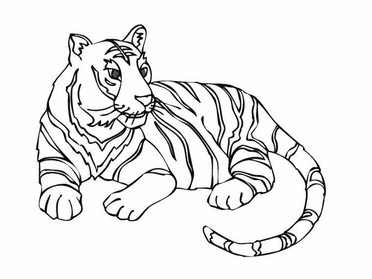 Tigre #16 (Animaux) – Coloriages À Imprimer intérieur Animaux A Dessiner Imprimer