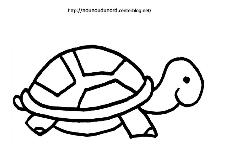 Tortue #17 (Animaux) – Coloriages À Imprimer à Dessin Tortue À Imprimer