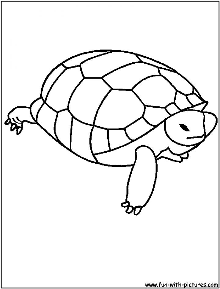 Tortue #35 (Animaux) – Coloriages À Imprimer pour Dessin Tortue À Imprimer