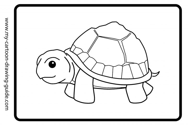 Tortue #52 (Animaux) – Coloriages À Imprimer avec Dessin Tortue À Imprimer