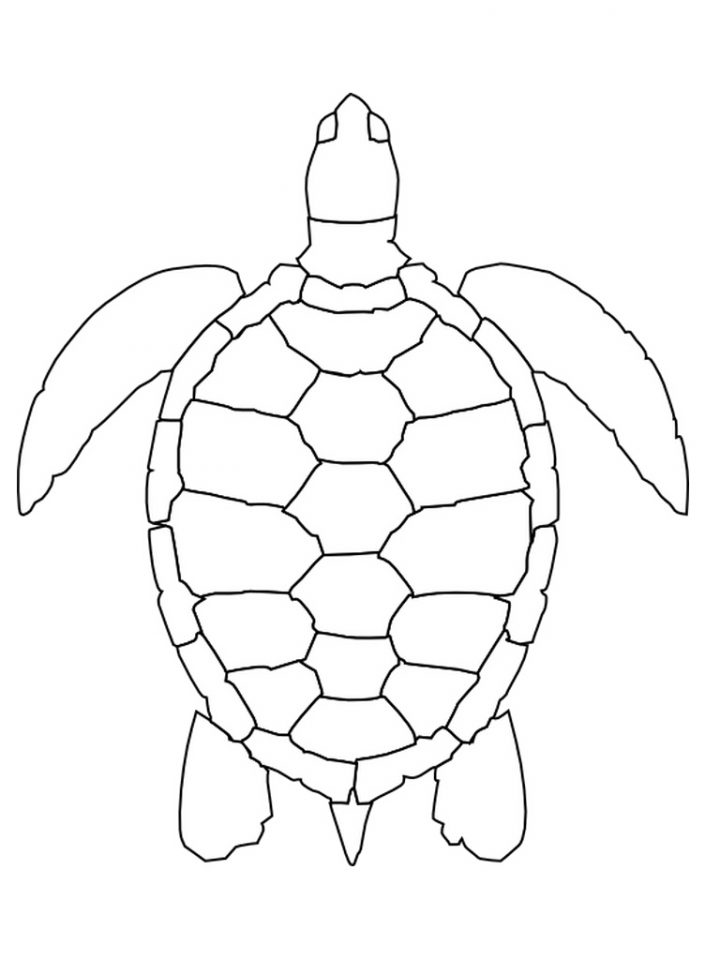 Tortue #53 (Animaux) – Coloriages À Imprimer concernant Dessin Tortue À Imprimer