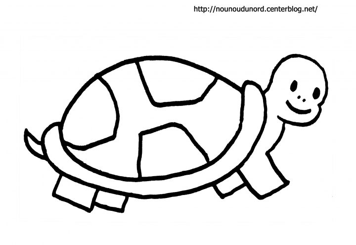 Tortue #66 (Animaux) – Coloriages À Imprimer à Dessin Tortue À Imprimer