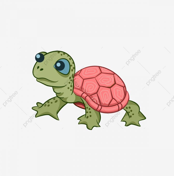 Tortue Tortue Mignonne Mignon Tortue Mignonne, Mignonne intérieur Dessiner Une Tortue