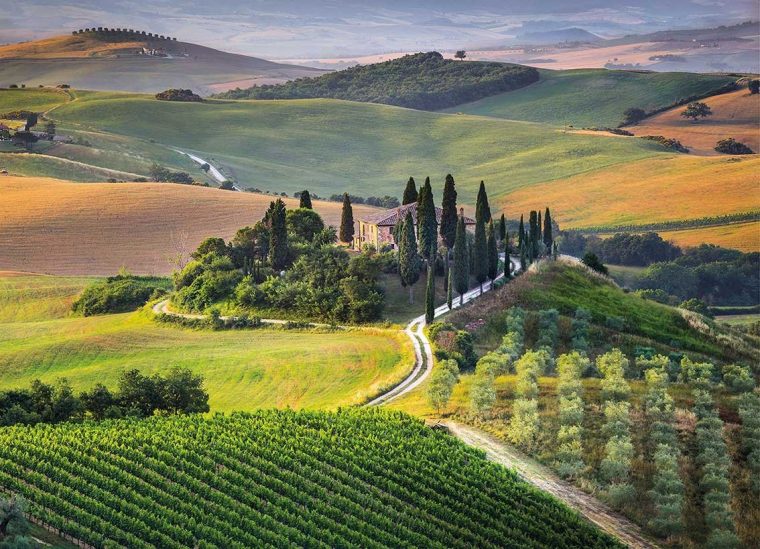 Toscane, Italie – 1000 Pièces Clementoni dedans Puzzle Gratuit Pour Fille De 3 Ans