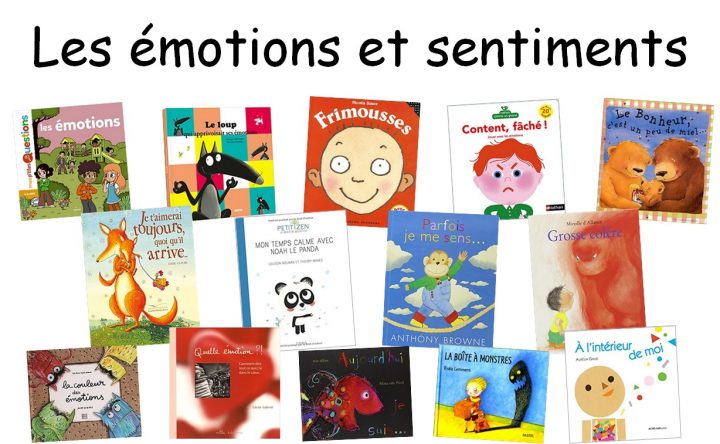 Travailler Les Émotions Et Sentiments À Travers Des Albums avec Jeux Educatif Maternelle Petite Section