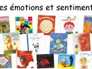 Travailler Les Émotions Et Sentiments À Travers Des Albums intérieur Jeux En Ligne Maternelle Petite Section
