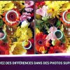 Trouver La Différence Fleurs - Jeux Des Erreurs - Jeux Midva tout Jeux De La Différence