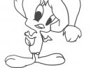 Tweety And Sylvester #37 (Cartoons) – Printable Coloring Pages concernant Dessiner Titi